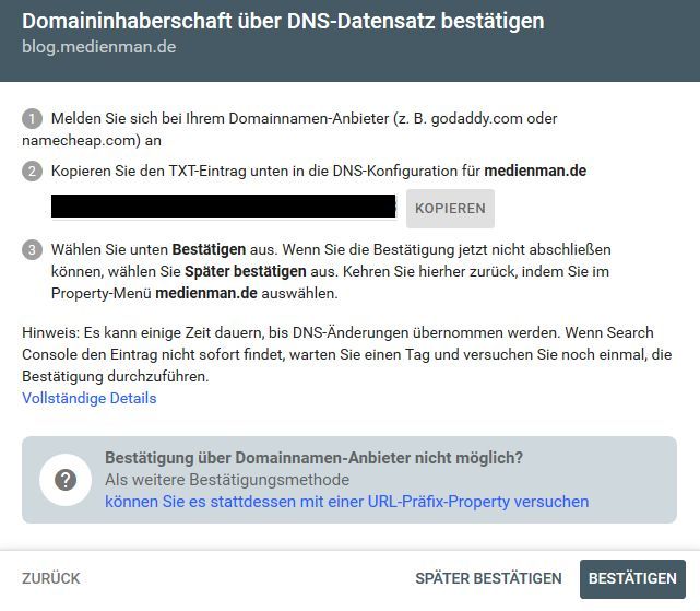 Search-Konsole: DNS-Bestätigung