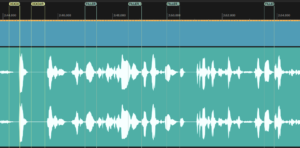 Zu sehen ist eine Audiospur mit Markierungen im Audio, die beschriftet sind mit "Deadair" oder "Filler".